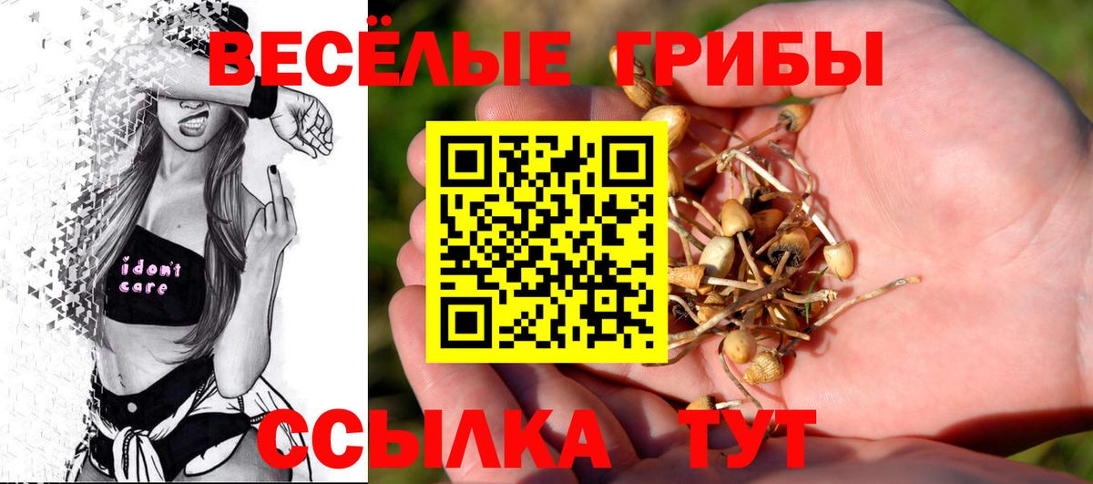 Галлюциногенные грибы GOLDEN TEACHER  Вход с VPN  Дзержинский 